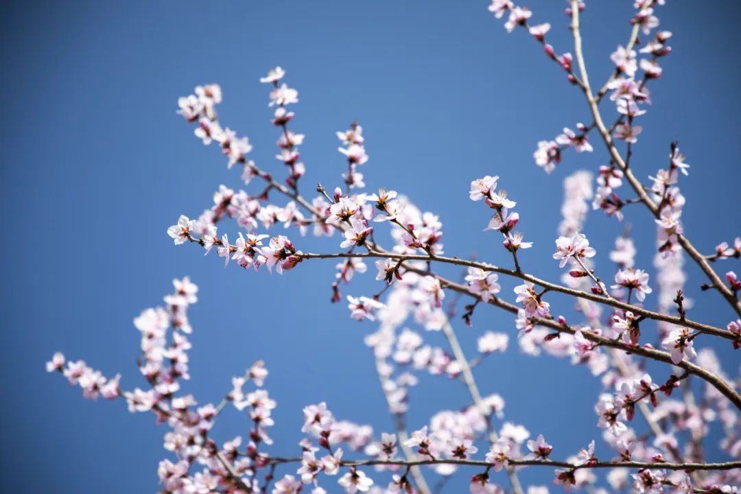 ec78ae74-6c61-4519-a0df-b70c79c0eb23.jpg