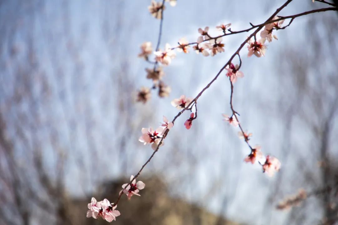 16bc4365-c76e-4ded-8a3e-98481d4960a5.jpg